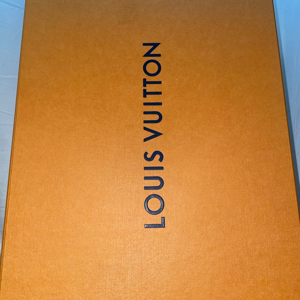 Louis Vuitton Archlight Sneaker - Picture 7 of 14